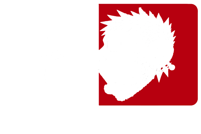 VNAT